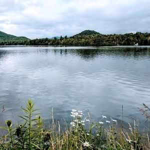 Meet your Posher, Noelle